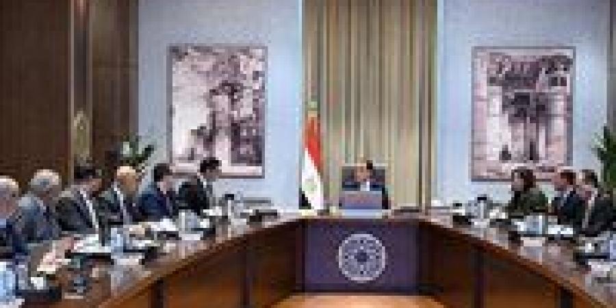 رئيس الوزراء يتابع موقف تنفيذ الأعمال المتبقية بحديقة الفسطاط تمهيدًا للافتتاح والتشغيل