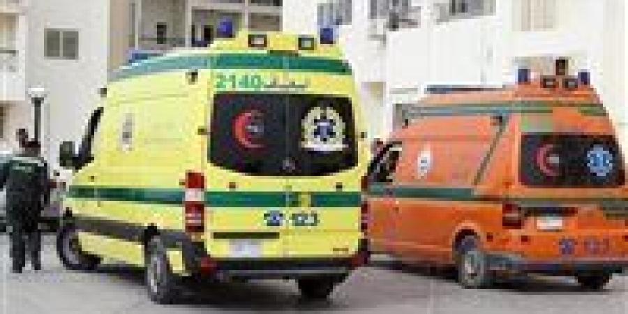 الخلاف على الكيف.. تفاصيل مقتل شخص علي أيد آخر في جنوب المنيا