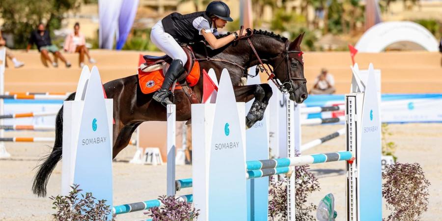 اتحاد الفروسية: الرعاة كلمة السر في نجاح بطولة كأس مصر