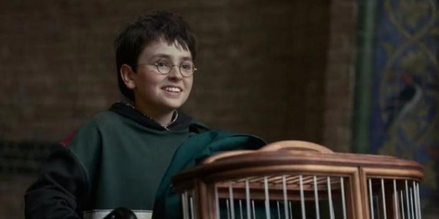 عودة السحر وأبطال جدد.. تفاصيل إعلان مسلسل هاري بوتر الجديد بعد 20 عامًا