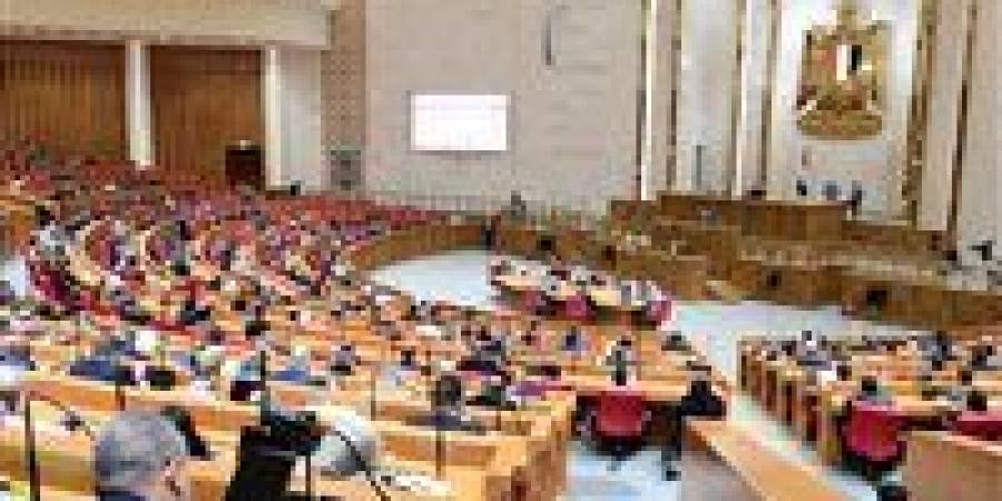 نواب: «دولة الفنون والإبداع» نقلة نوعية في دعم الهوية والثقافة المصرية