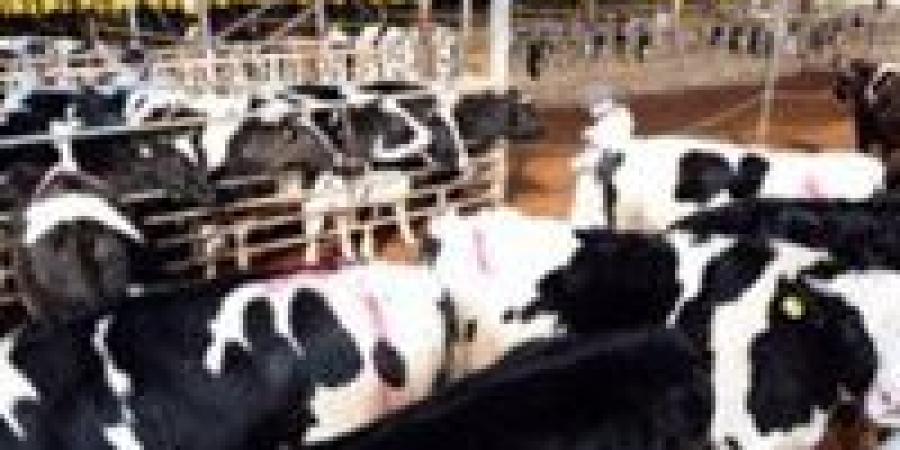 قانون الزراعة يفرض رقابة مشددة على الحجر البيطري للحيوانات المستوردة ومنتجاتها