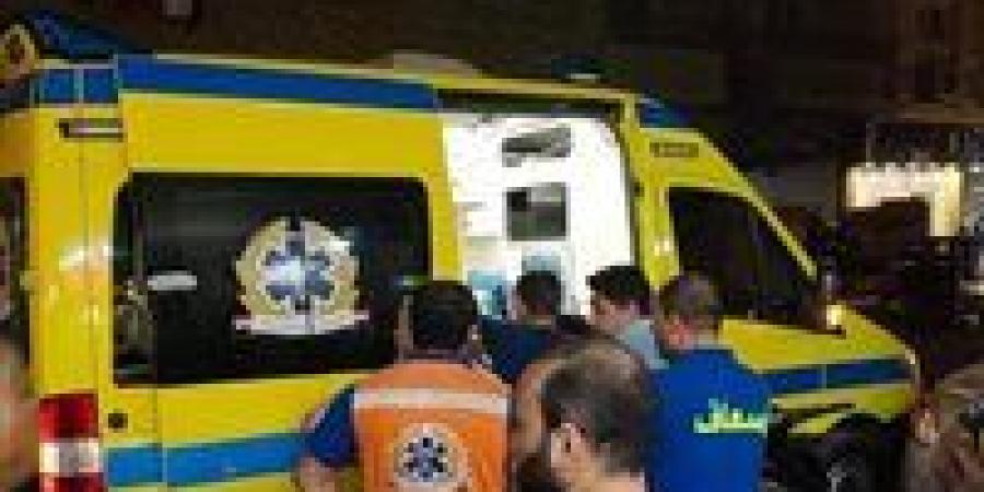 أعيرة نارية تُعكر فرحة زفاف بالدقهلية.. وإصابة 4 أشخاص