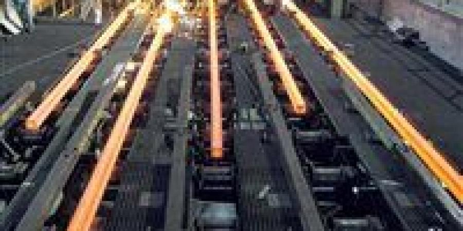 بنسبة تصل إلى 13%.. وزارة الاستثمار تقرر فرض رسوم وقائية نهائية على واردات الصلب