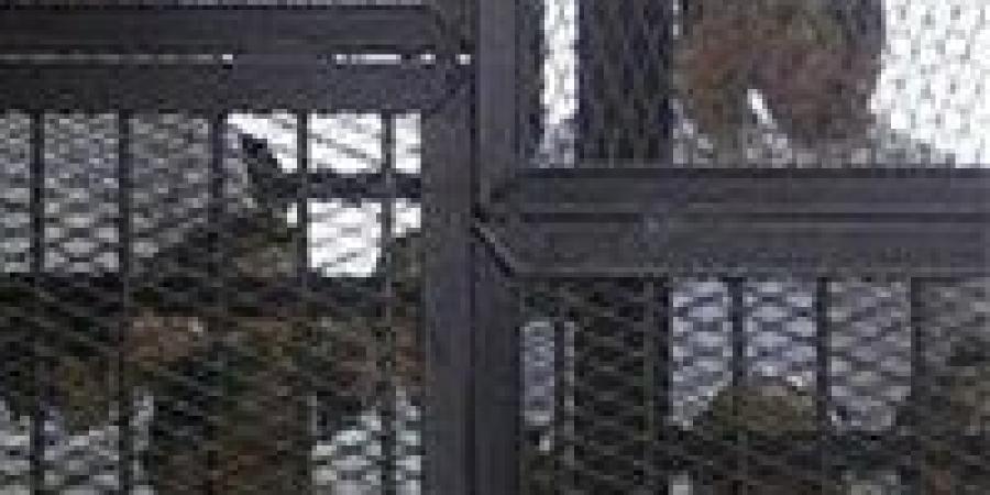 تأجيل محاكمة “الهيكل الإداري للإخوان” إلى يونيو