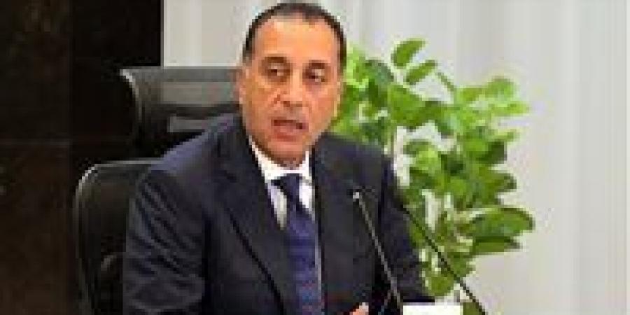 الحكومة تؤكد استقرار مخزون السلع وخطة طموحة لتعظيم توريد القمح المحلي