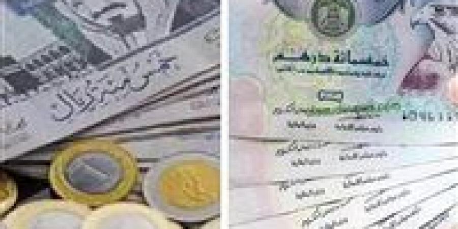الريال السعودي والدرهم الإماراتي.. استقرار الأسعار