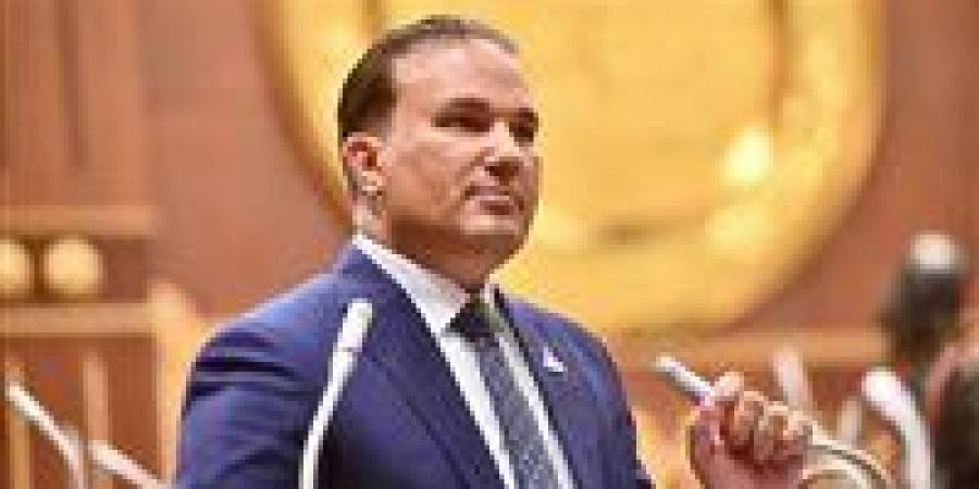 النائب تامر عبد الحميد: أدخلنا العديد من التشريعات في إعداد قانون حماية المنافسة