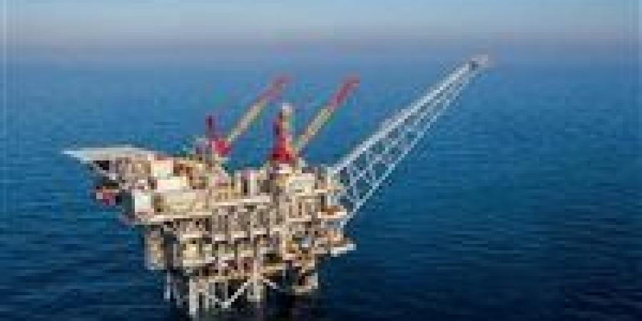 ميناء دمياط يستقبل ناقلة غاز مسال عملاقة بحمولة تفوق 72 ألف طن