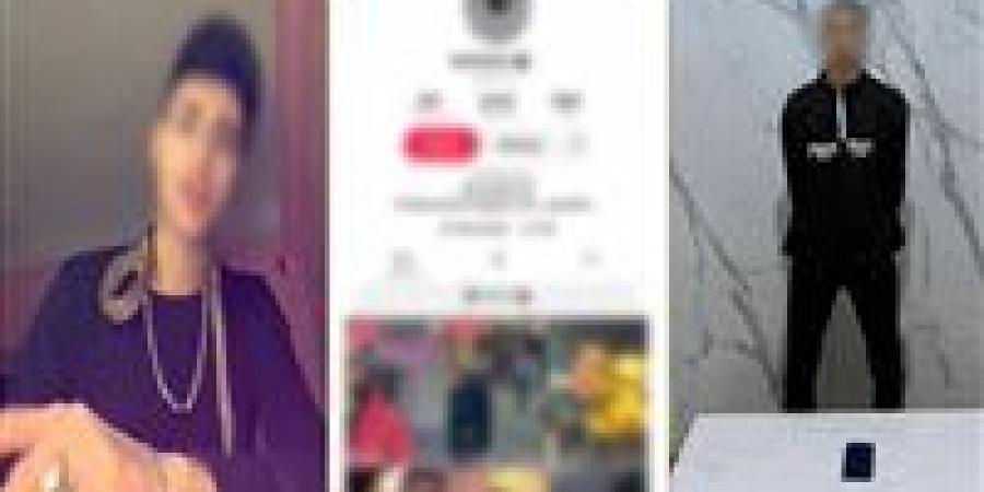 القبض على صانع محتوى لنشره فيديوهات تروج للبلطجة بالبحيرة