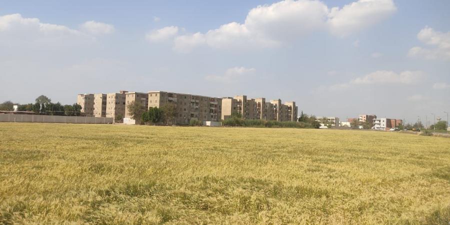 الشرقية.. الإنتهاء من إجراءات معاينة وتسليم قطعة أرض تمهيداً لإقامة مستشفى أبو حماد العام