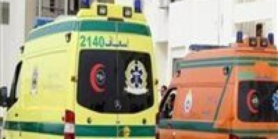 إصابة 8 أشخاص في حادث ميكروباص بطريق القاهرة–أسيوط الصحراوي الغربي بالفيوم