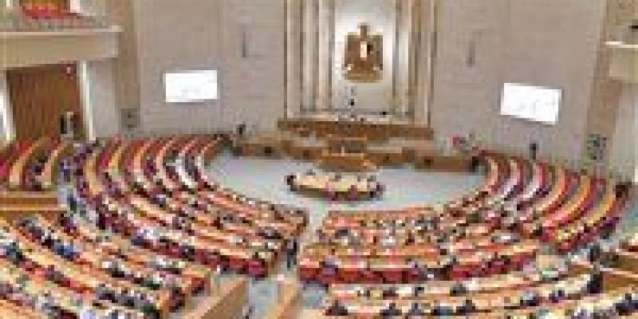 بعد مقترح إصدار قانون خاص بالوظيفة المحلية.. نواب لـ تحيا مصر: خطوة جيدة للقضاء على الفساد بالمحليات وتعزيز الرقابة بالأحياء