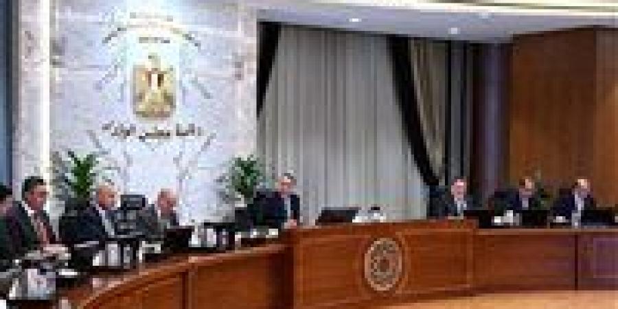 مجلس الوزراء: ننسق مع البنك المركزي لإتاحة الموارد الدولارية بشكل كافٍ