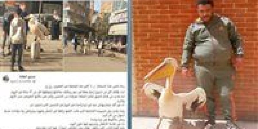 «ربط بجعة للإعلان».. ضبط صاحب محل أسماك استغل طائرًا لجذب الزبائن