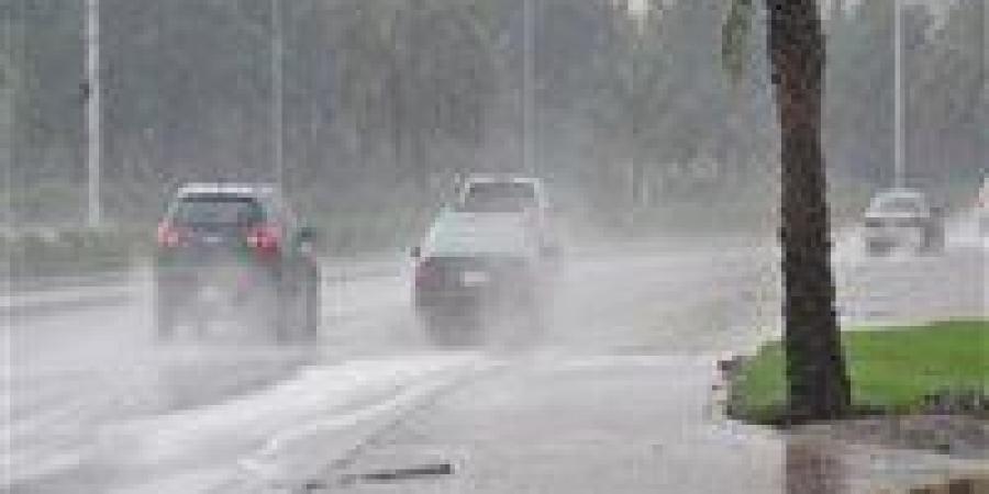 هيئة الأرصاد تكشف تفاصيل حالة الطقس في مصر خلال الأسبوع المقبل