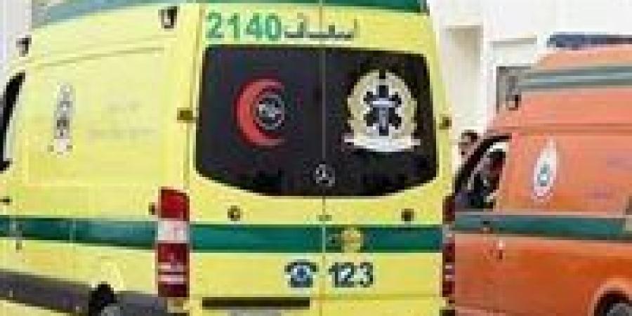 بيعدوا الطريق.. نقل تدهس 5 أشخاص وتفرّ هاربًا بأكتوبر