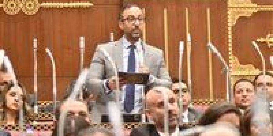 العمل به تطوعي لخدمة الدولة.. النائب أحمد الحمامصي يقترح إنشاء مجلس أعلى للأسرة