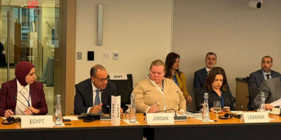 وزير الخارجية من واشنطن: الإصلاحات الحكومية حمت الاقتصاد من التحديات الراهنة