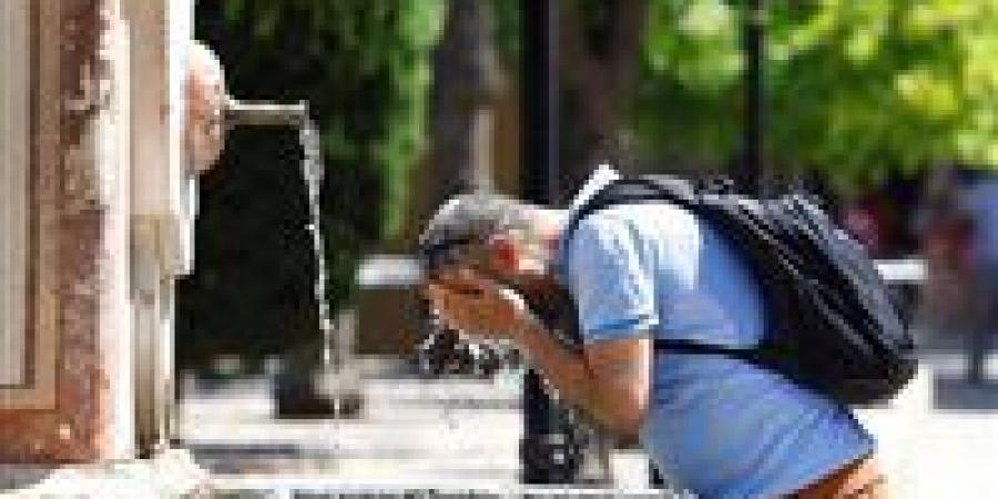 خبراء يحذرون من تقلبات الحرارة وتأثيرها على المناعة وزيادة العدوى الصيفية