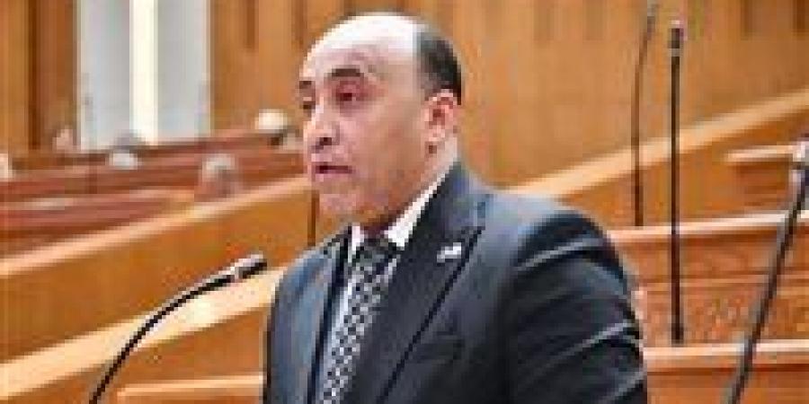 حسام حسن يتقدم بطلب إحاطة حول تضارب تقديرات توريد القمح لموسم 2026