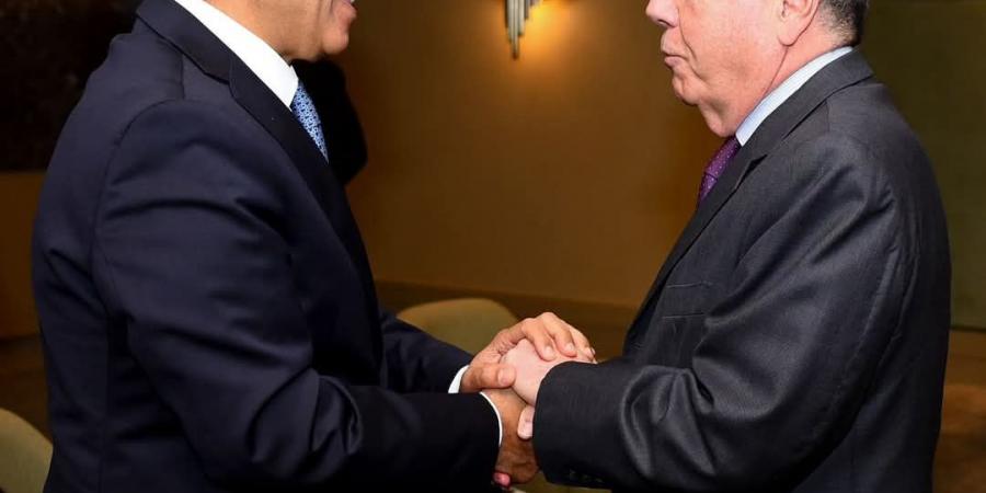 وزير خارجية البرازيل: نثمن جهود مصر في خفض التصعيد وتسوية الأزمات عبر الوسائل السلمية