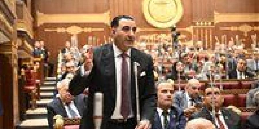 رئيس برلمانية المؤتمر بالشيوخ: تطوير مراكز الشباب أولوية لحماية الشباب من المراهنات والمخدرات والأفكار المتطرفة