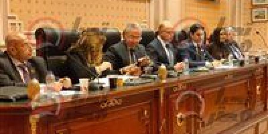 اقتصادية الشيوخ تناقش الأثر التشريعي لقانون الاستثمار.. وتعديلات مرتقبة لتعزيز جذب المستثمرين