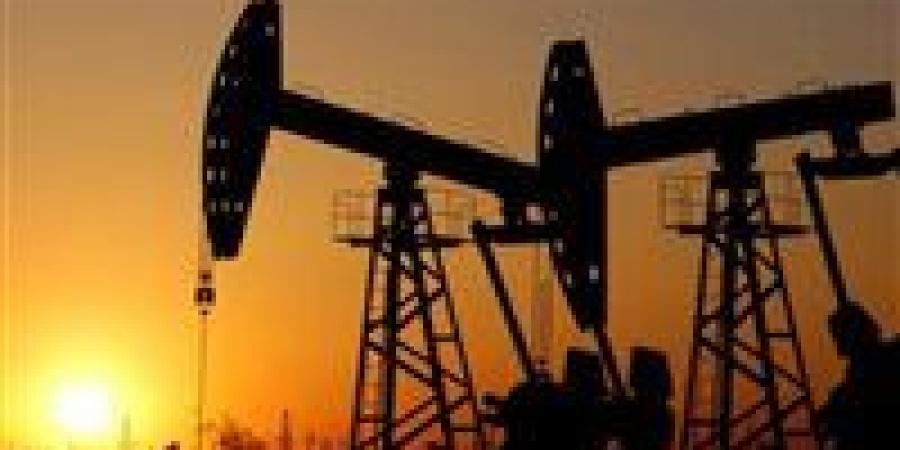 أيمن غنيم: قد يتخطى سعر برميل النفط مستوى 150 دولارا