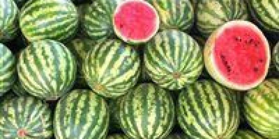 «الزراعة» تطمئن المواطنين: البطيخ آمن والأسعار ستتراجع مع زيادة المعروض