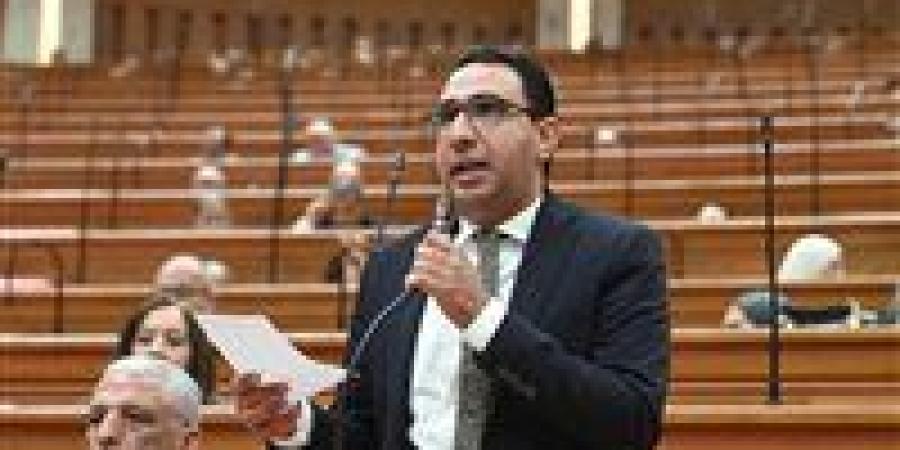 النائب عبد الوهاب خليل أمينا لحزب مستقبل وطن بمحافظة الجيزة