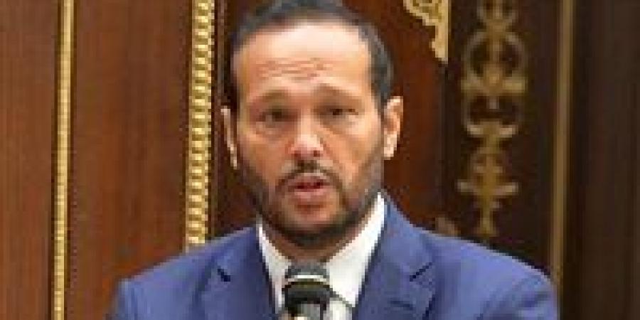 بالإجماع.. محمد حلاوة رئيسًا للجنة التجارة بالبرلمان الإفريقي