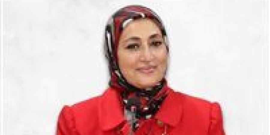 حوكمة العلاقة المؤسسية بين النواب والوزراء