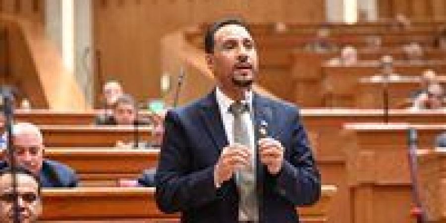 النائب جرجس لاوندي: زيارة الرئيس السيسي للإمارات تجسد وحدة الصف العربي وترسل رسالة ردع حاسمة ضد تهديد أمن الخليج