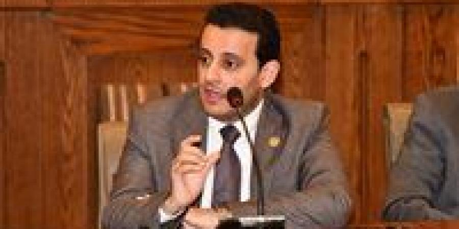 أحمد سمير مشيداً برسائل الرئيس السيسي: مصر بوابة أفريقيا الواعدة وبنيتها التحتية تعزز التكامل القاري
