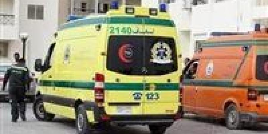 مصرع شخص صعقا بالكهرباء بالشرقية