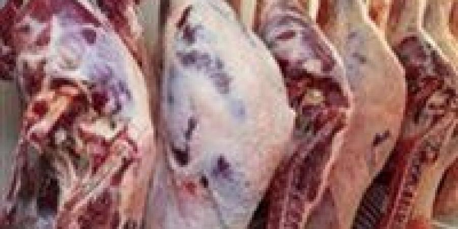 التموين تطلق خطة العيد: تخفيضات 30% على اللحوم بالمنافذ وحظر تام للذبح خارج المجازر