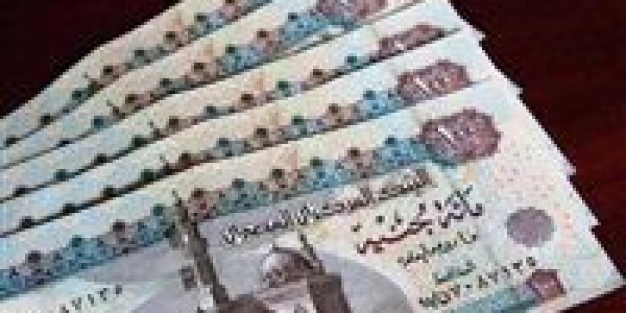 زيادة المعاشات 2026.. الحكومة تحسم موعد صرف الزيادة الجديدة للمستفيدين رسميًا