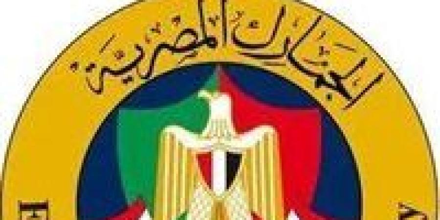 تقسيط الرسوم الجمركية للمشروعات الإنتاجية.. تسهيلات جديدة لدعم الصناعة