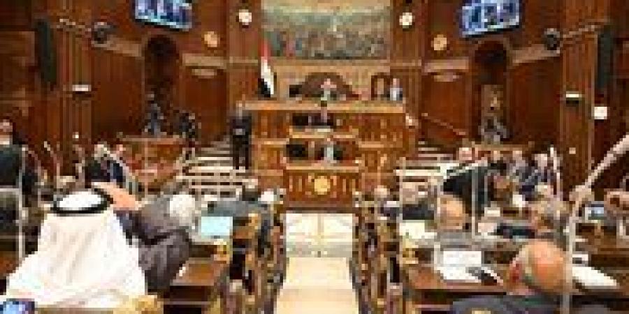 مجلس الشيوخ يطرح حزمة توصيات لتطوير الحماية الاجتماعية ضمن خطة التنمية