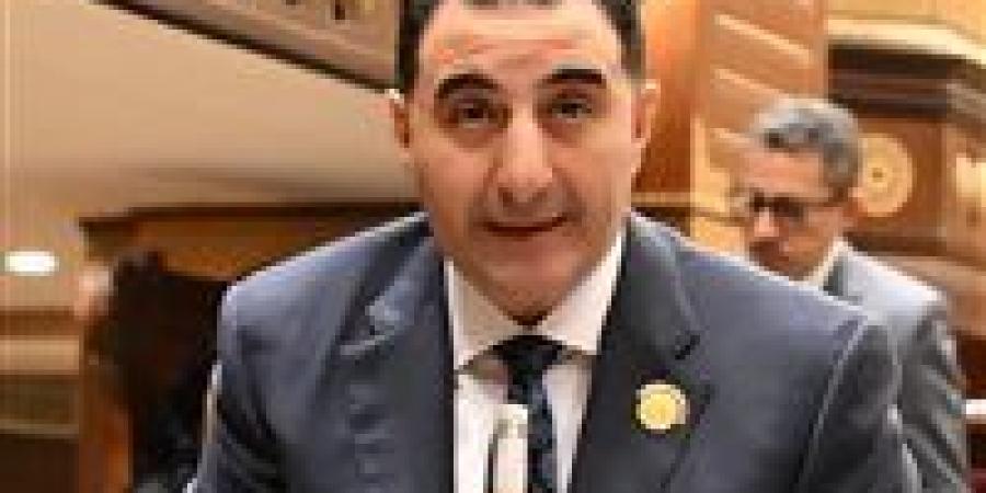 برلمانية المؤتمر بمجلس الشيوخ: وعي المصريين أفشل حرب الشائعات وحافظ على استقرار الدولة
