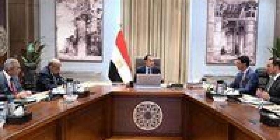 رئيس الوزراء يكلف بعرض الصورة النهائية لمبادرة تشجيع تركيب الواح الطاقة الشمسية بالمصانع والمنازل