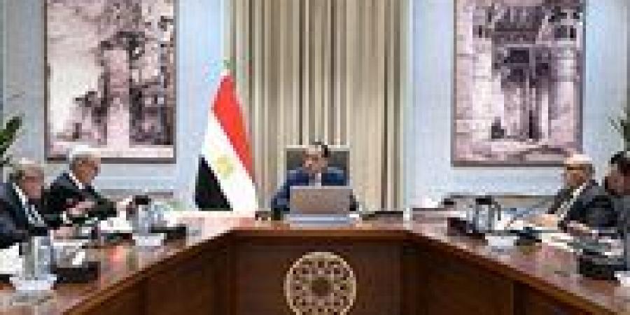 رئيس الوزراء يتابع جهود تنفيذ خطة إعادة هيكلة وحوكمة الشركات المملوكة للدولة