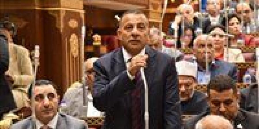 النائب عمر زايد بمناقشات خطة التنمية: دعم المشروعات الصغيرة ودمج الاقتصاد غير الرسمي ضرورة لتعزيز النمو