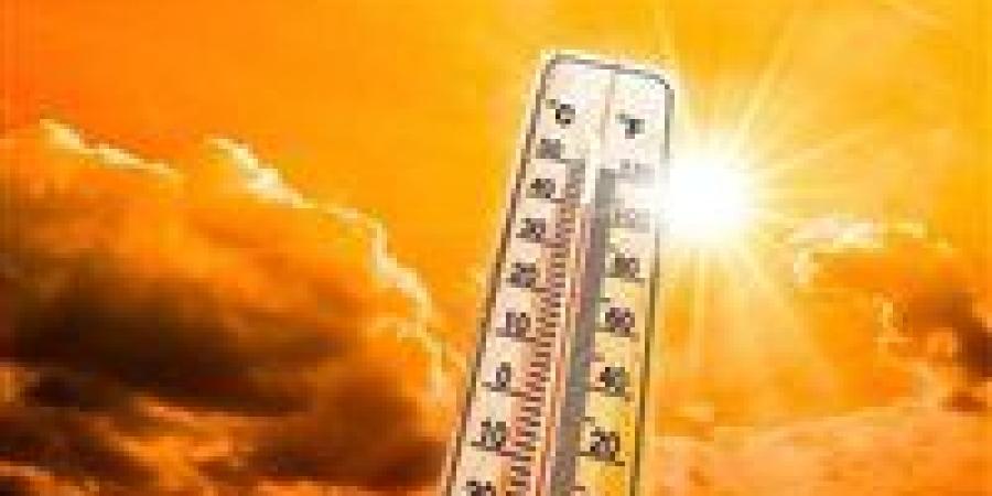 تحذيرات من ارتفاع درجات الحرارة غدًا.. شبورة صباحية ورطوبة مرتفعة تزيد الإحساس بالحرارة