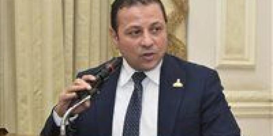 النائب عادل السكري يتقدم باقتراح برغبة لإعادة النظر في آلية تسعير استهلاك الكهرباء للعدادات الكودية