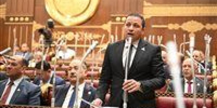 النائب عادل السكري يشيد باستجابة الحكومة لمقترحاته بالتيسير على المواطنين في ملف العدادات الكودية