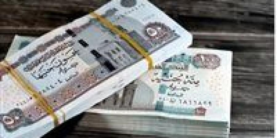 زيادة المعاشات 2026.. موعد التطبيق الرسمي وخطوات الاستعلام