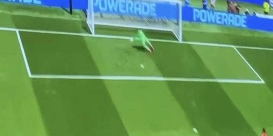 إمام عاشور يا مدرسة.. تامر حسني يحتفل بالهدف الأول لمنتخب مصر أمام بلجيكا