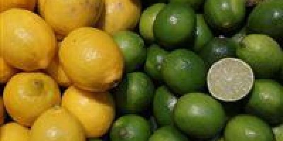 شعبة الخضروات: قفزة أسعار الليمون مؤقتة وبدء حصاد المحصول بالصعيد يضمن انخفاضها تدريجياً